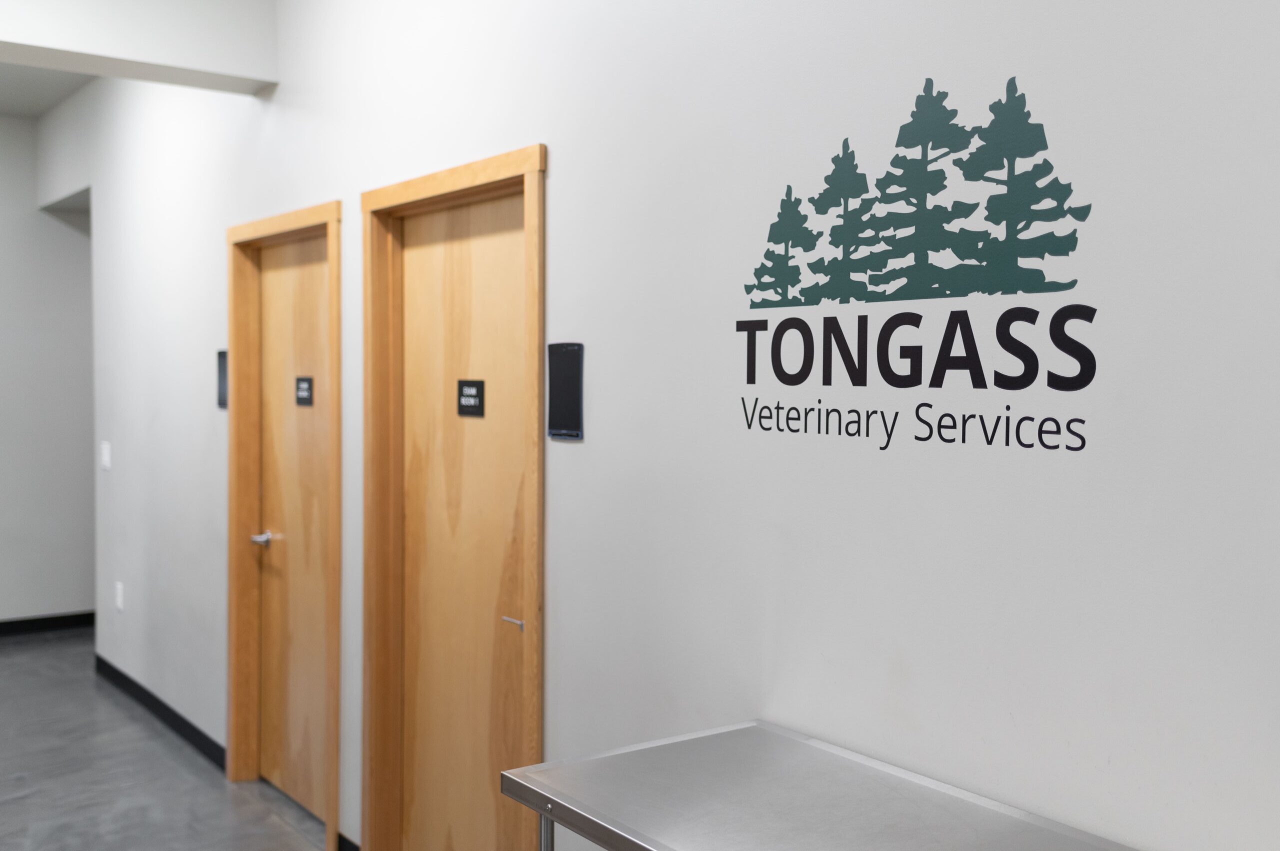 Tongass Veterinary Services hospital inside view