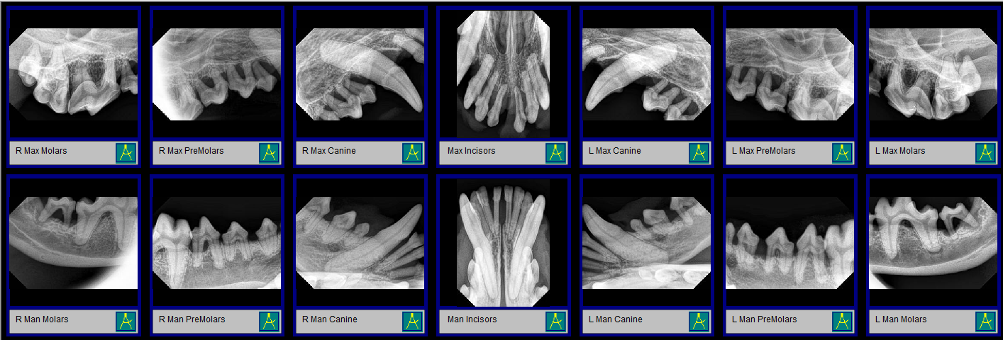 dental imaging tablet version