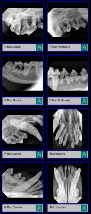 dental imaging mobile version